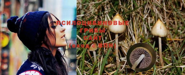 соль ск Михайловка
