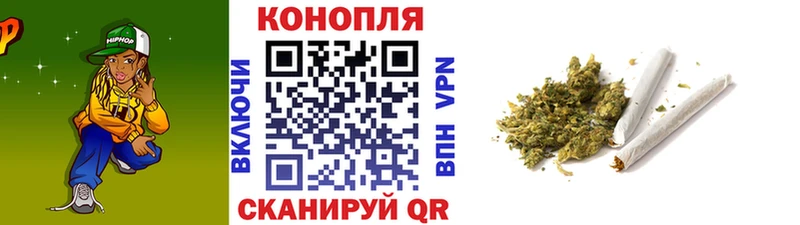 Бошки Шишки план  Приволжский 